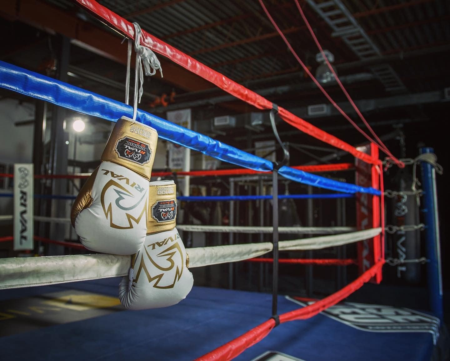 Rival RS100 Professional Sparring Gloves (White/Gold)